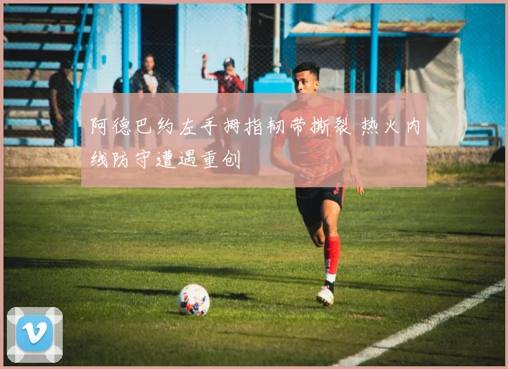 阿德巴约左手拇指韧带撕裂 热火内线防守遭遇重创